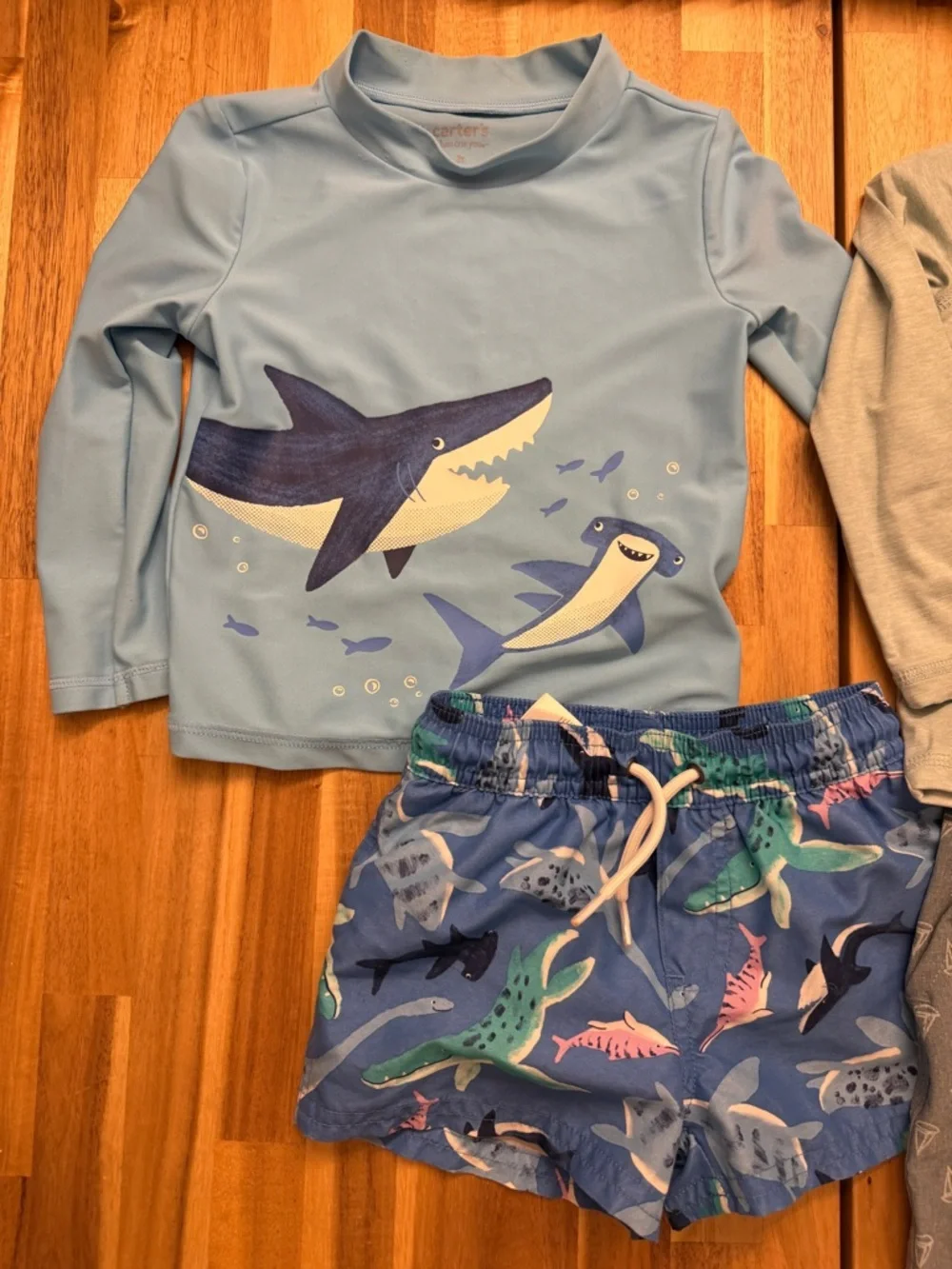 2 Swimsuit + Rashguards - Picture 2 of 6